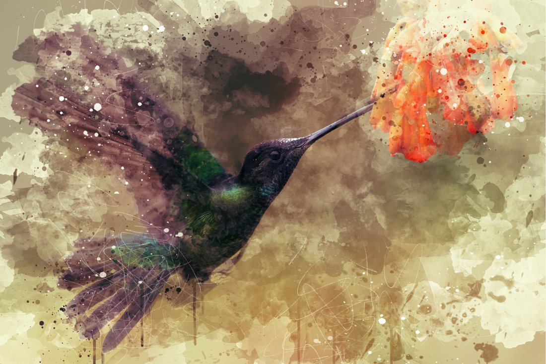 Hummingbird — digital artwork
